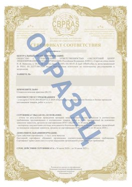 Образец Сертификат СТО 01.064.00220722.2-2020 Новочебоксарск Сертификат СТО 01.064.00220722.2-2020 